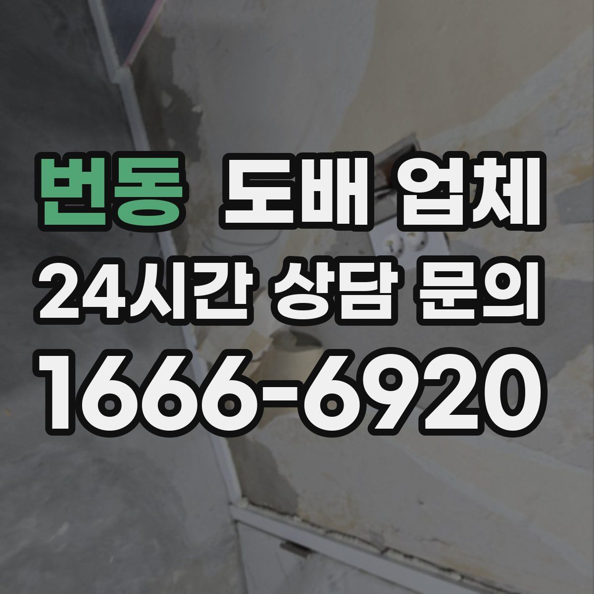 번동 도배 업체