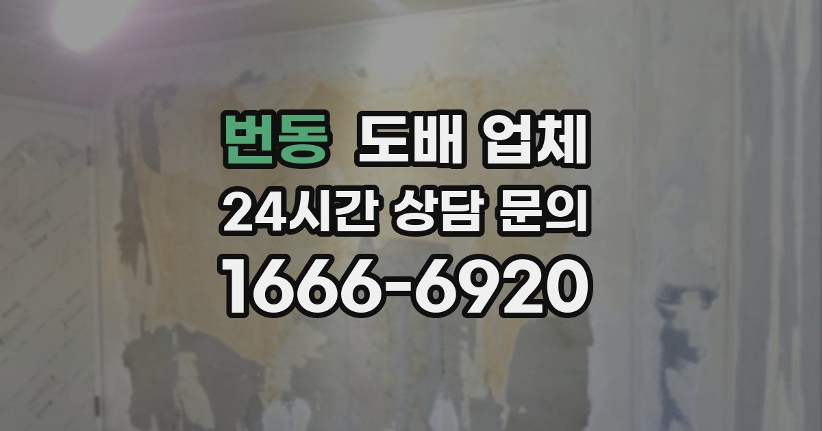 번동 도배 업체
