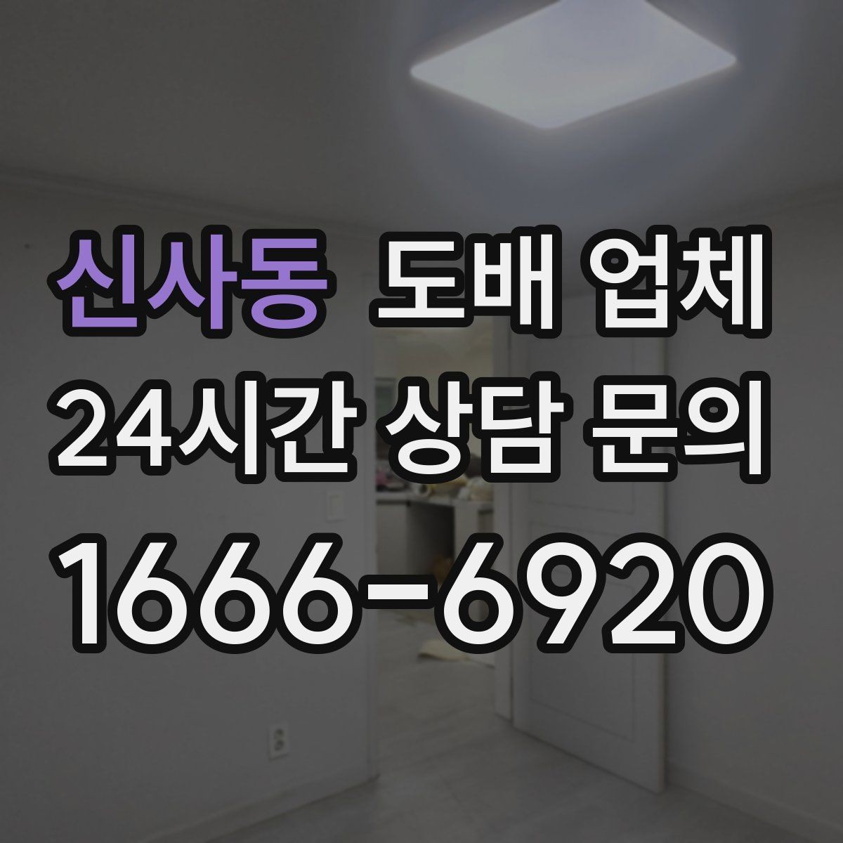 신사동 도배 업체 비교할 때 보는 서비스 항목
