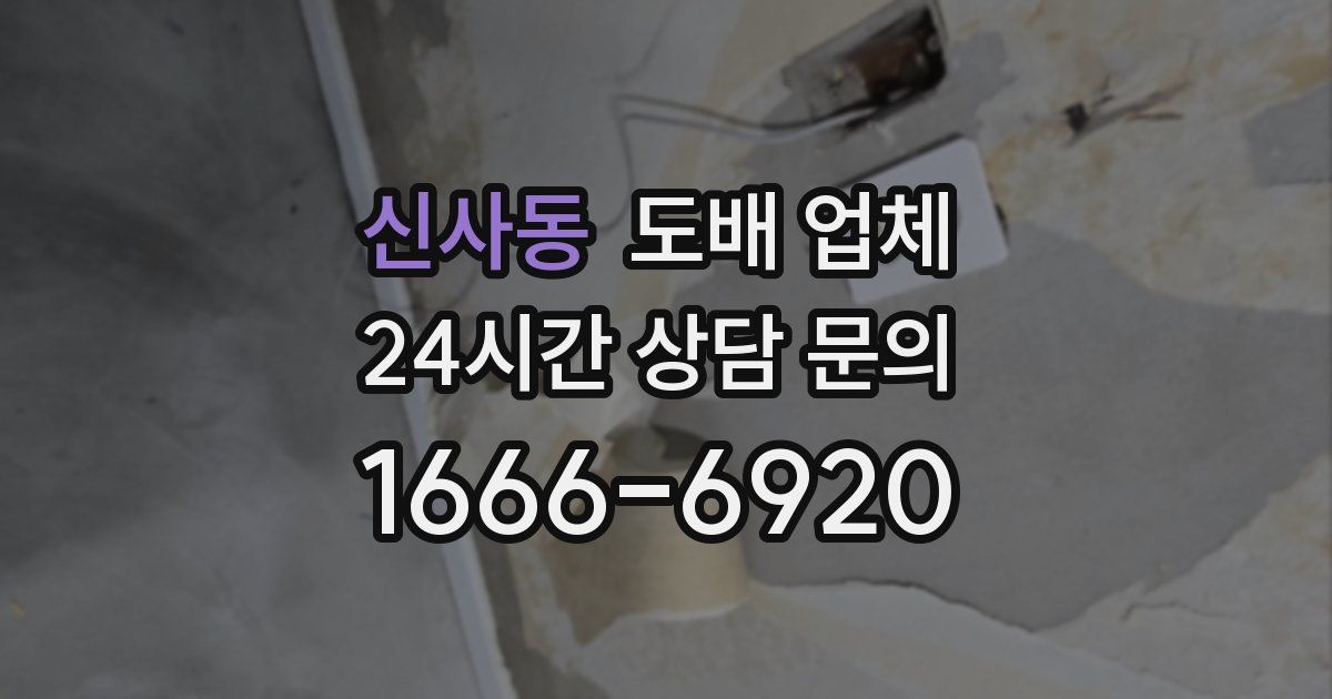 신사동 도배 업체