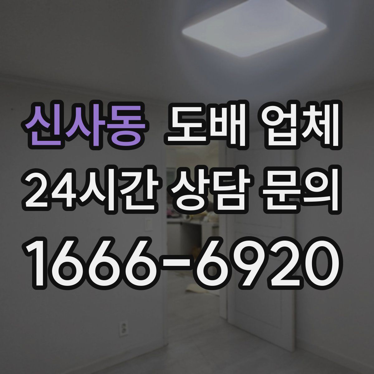 신사동 도배 업체