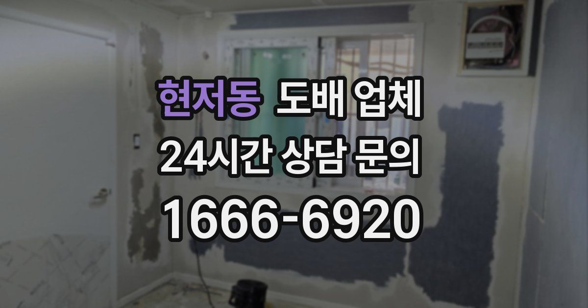현저동 도배 업체
