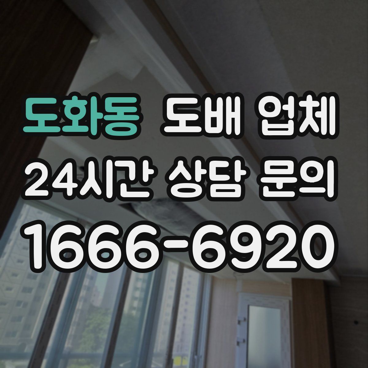 도화동 도배 업체
