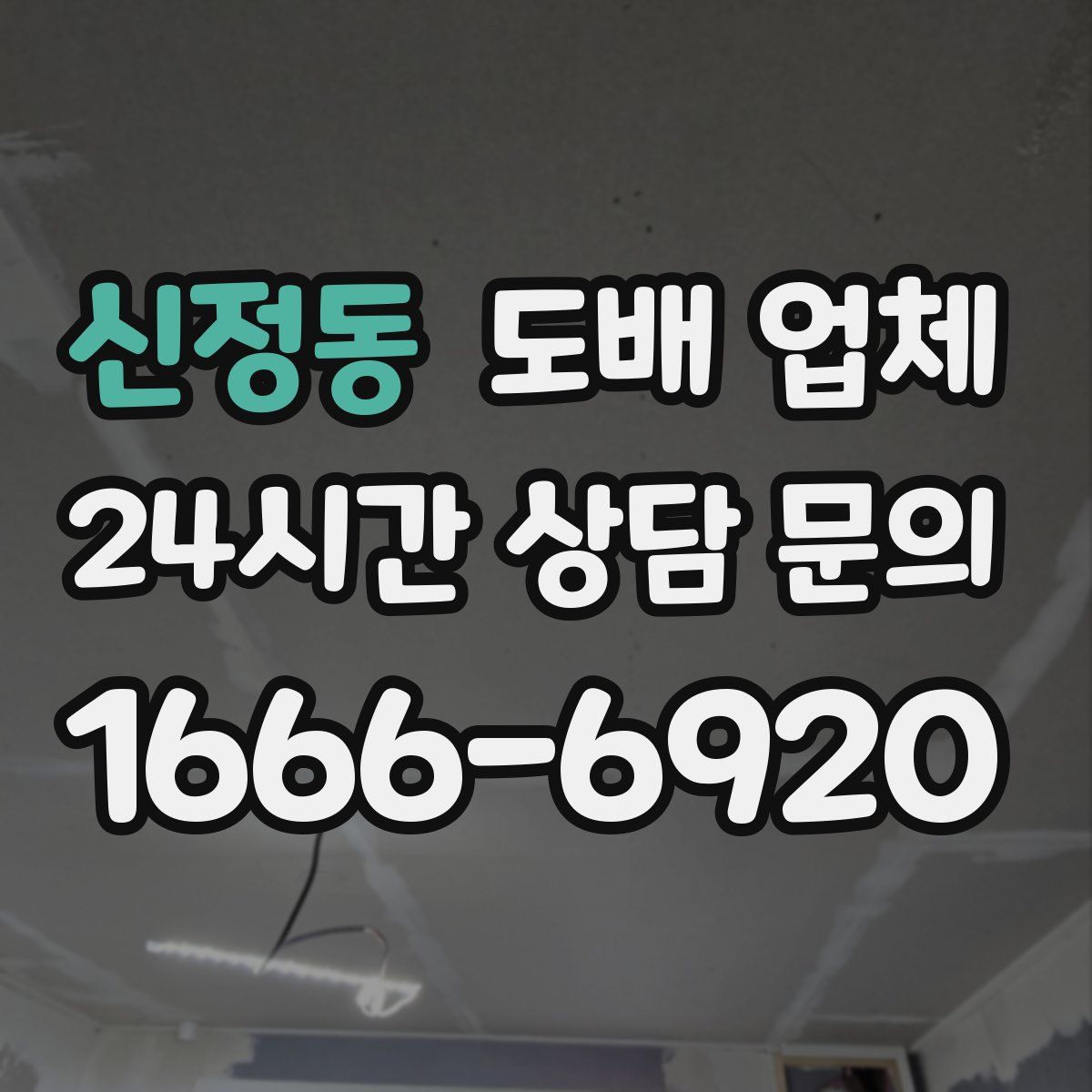 신정동 도배 업체