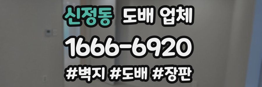 신정동 도배 업체