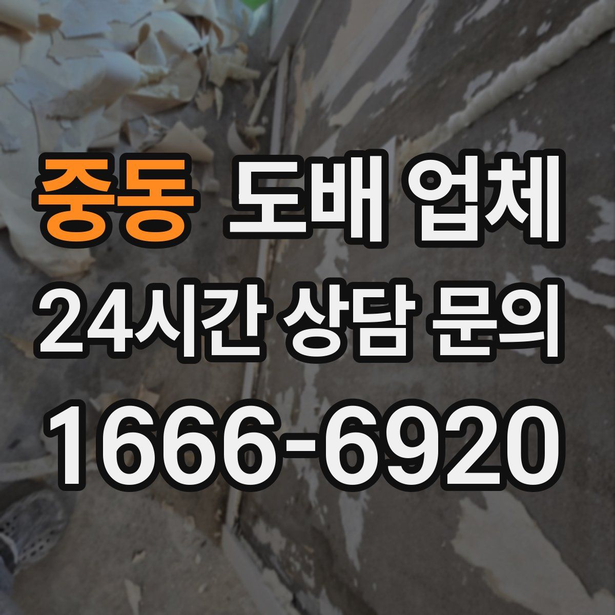 중동 도배 업체
