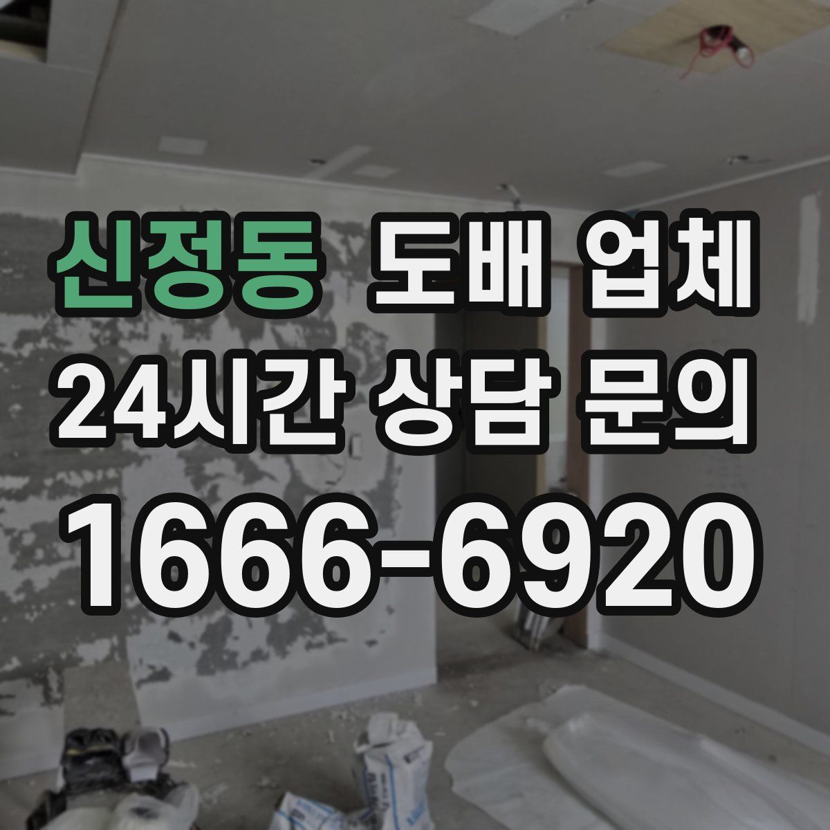 신정동 도배 업체