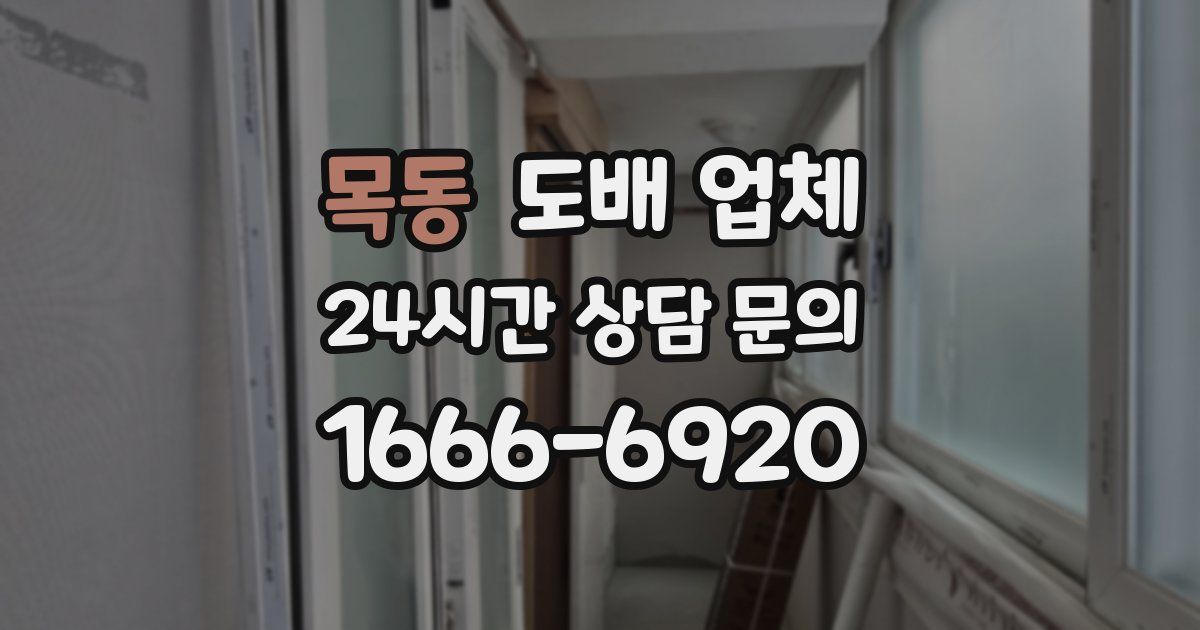 목동 도배 업체
