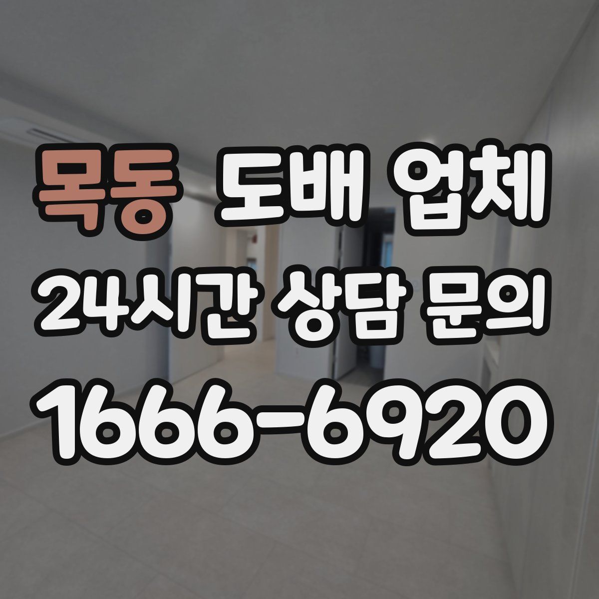 목동 도배 업체