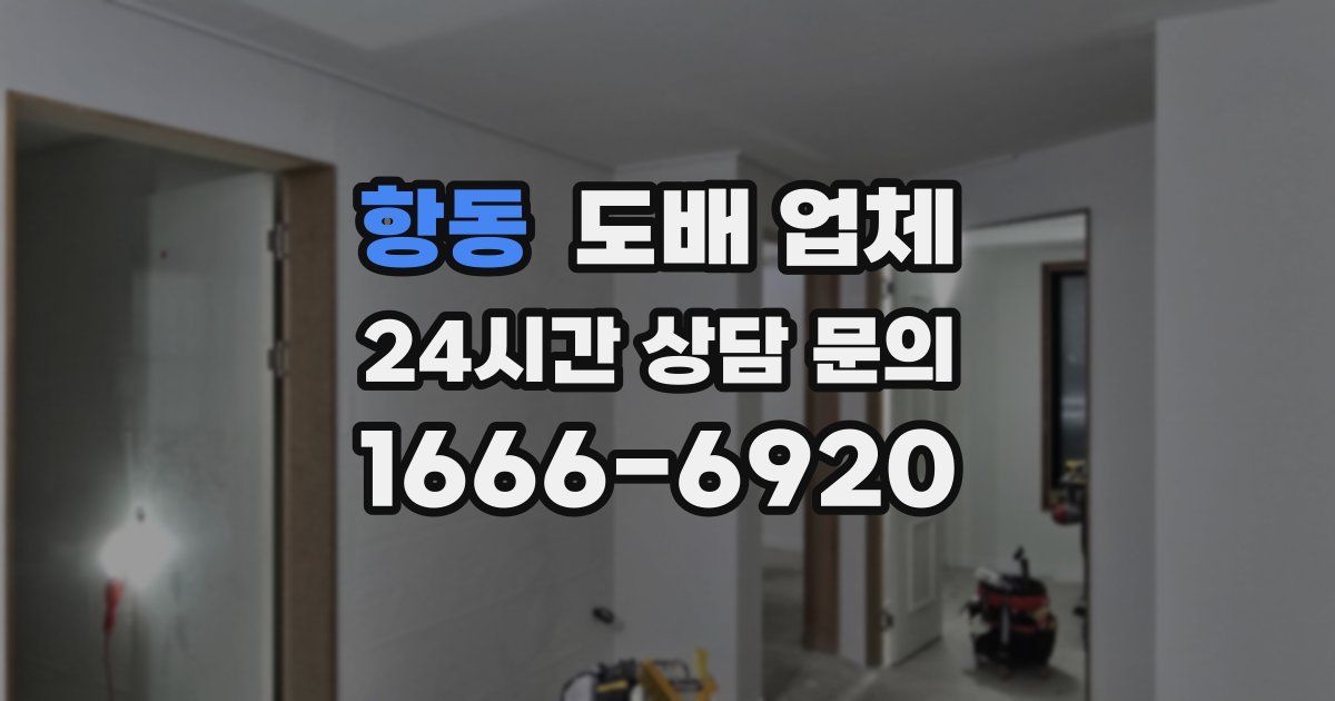 항동 도배 업체