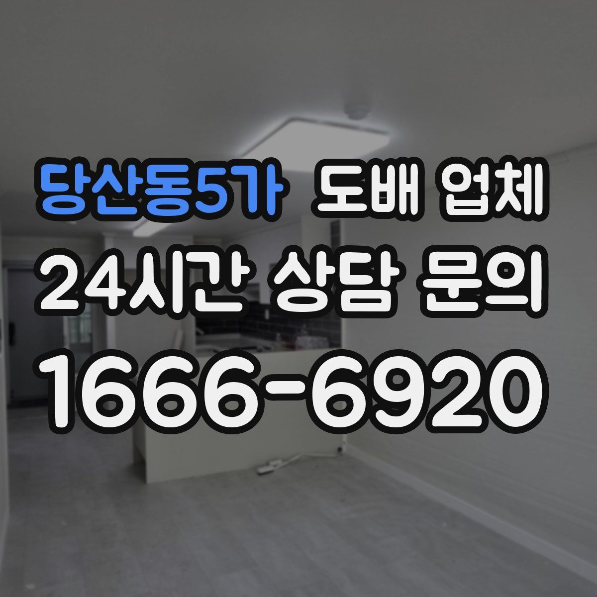 당산동5가 도배 업체