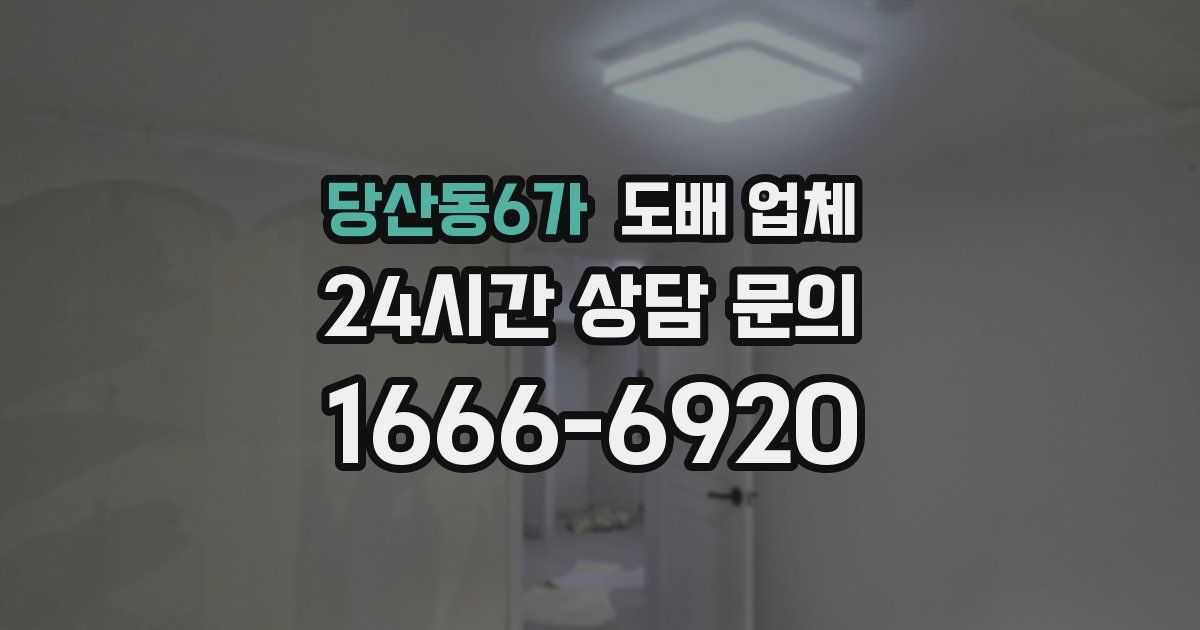 당산동6가 도배 업체