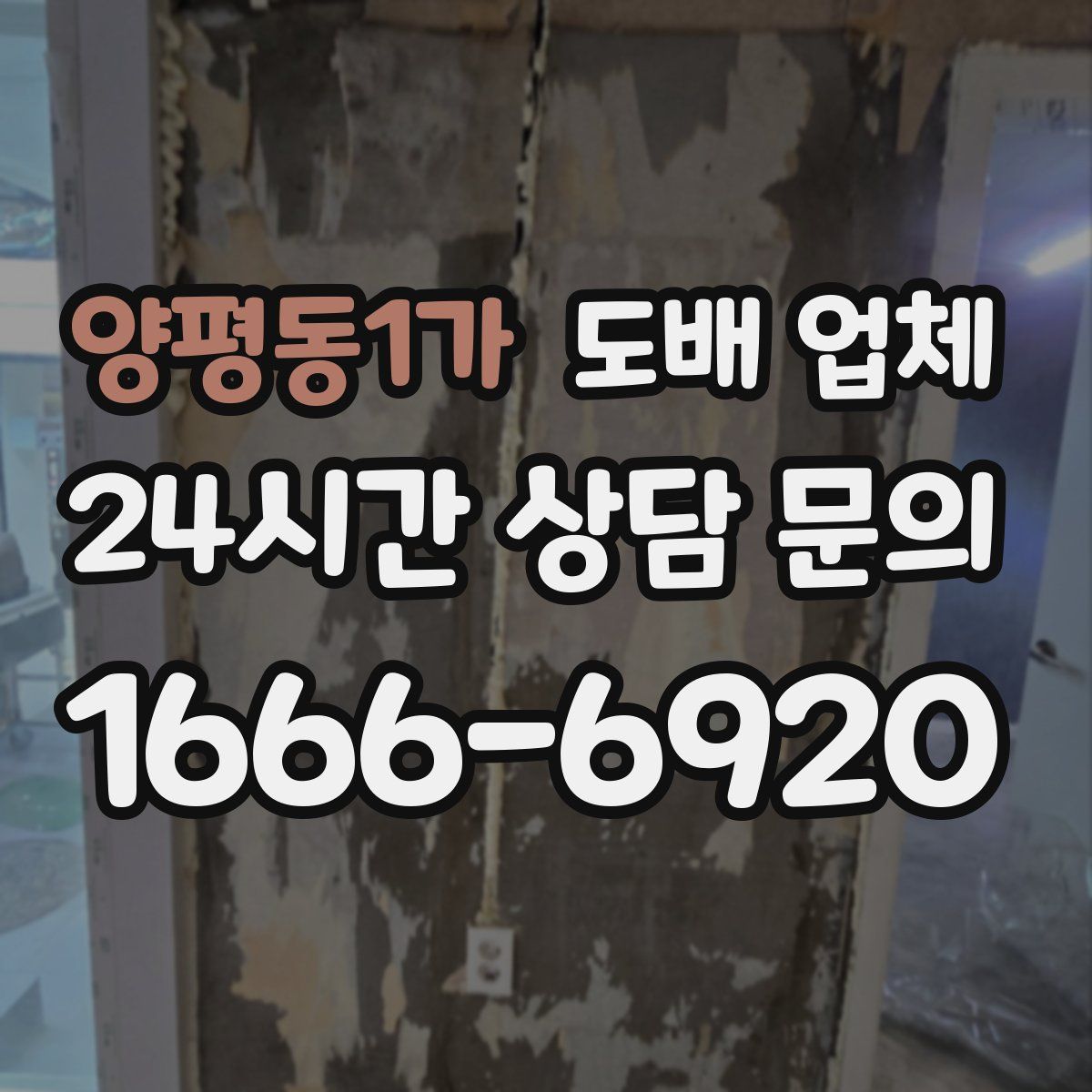 양평동1가 도배 업체