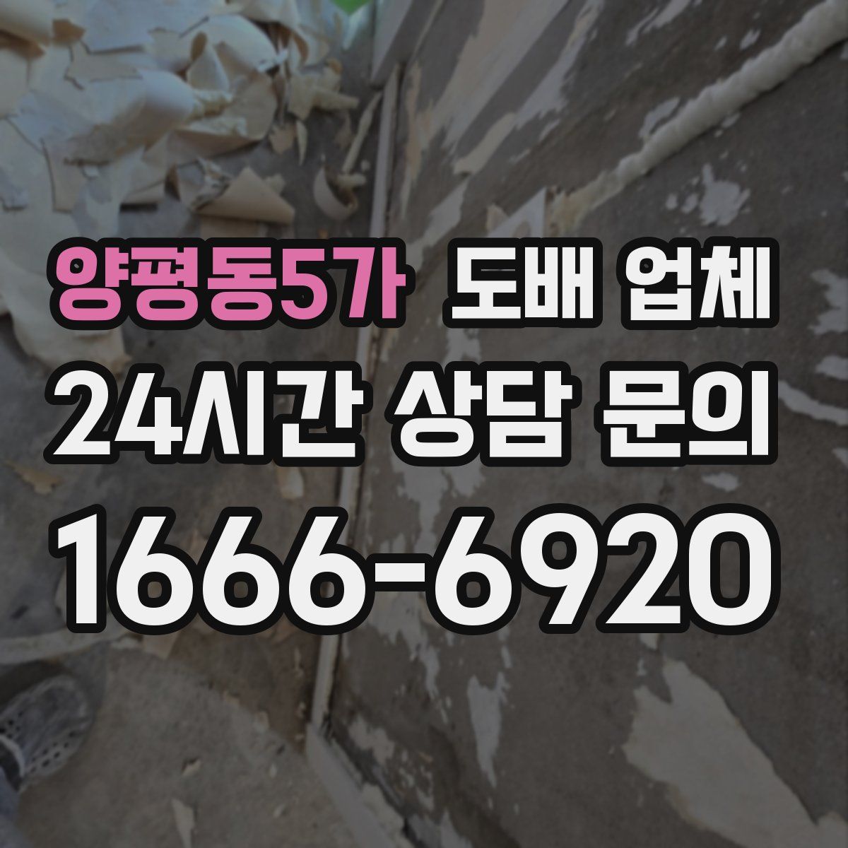 양평동5가 도배 업체