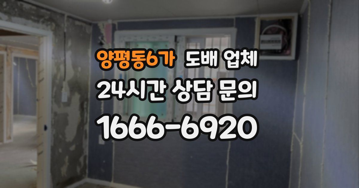 양평동6가 도배 업체