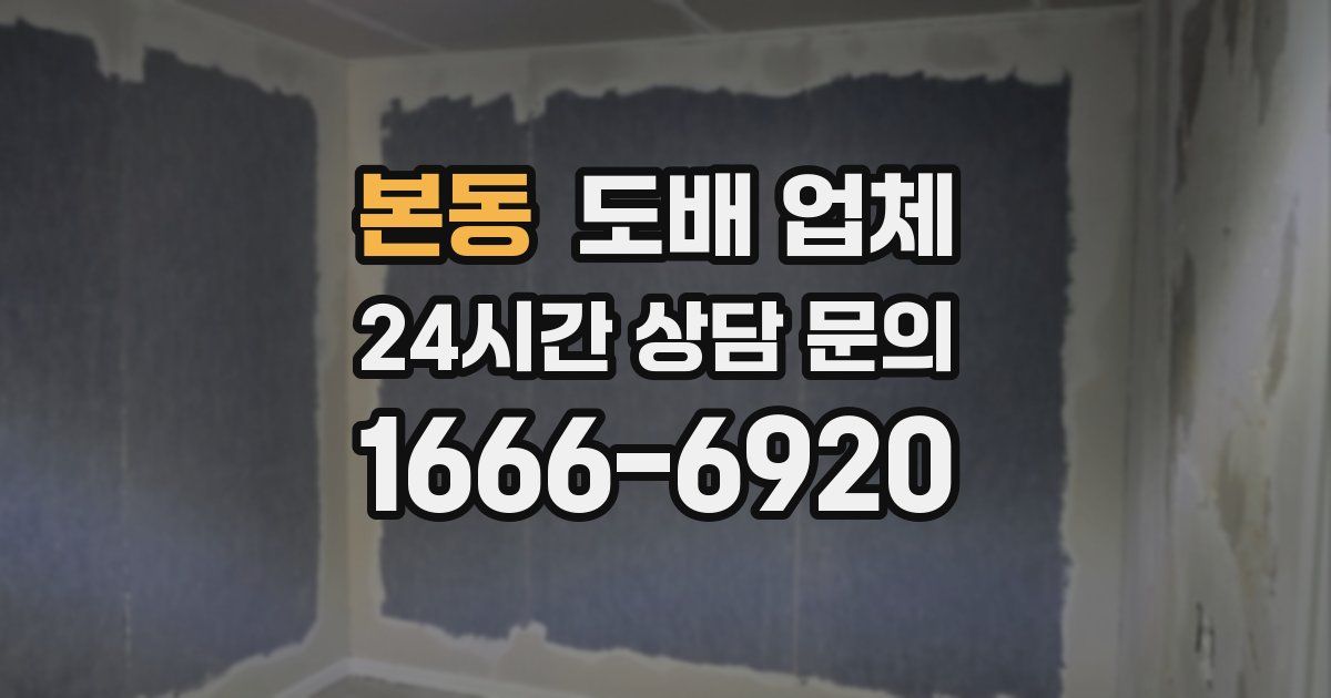본동 도배 업체