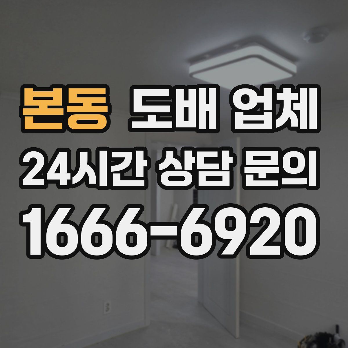 본동 도배 업체
