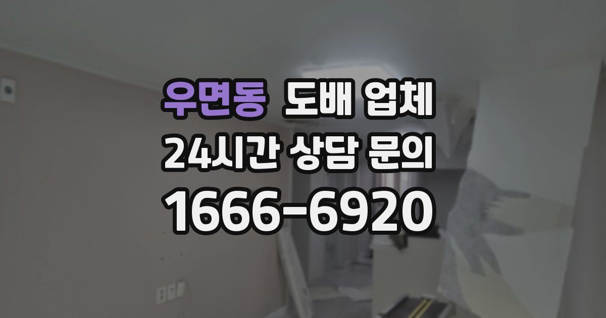 우면동 도배 업체