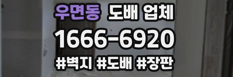 우면동 도배 업체