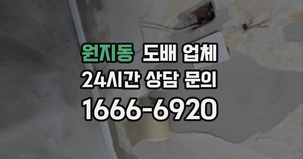 원지동 도배 업체