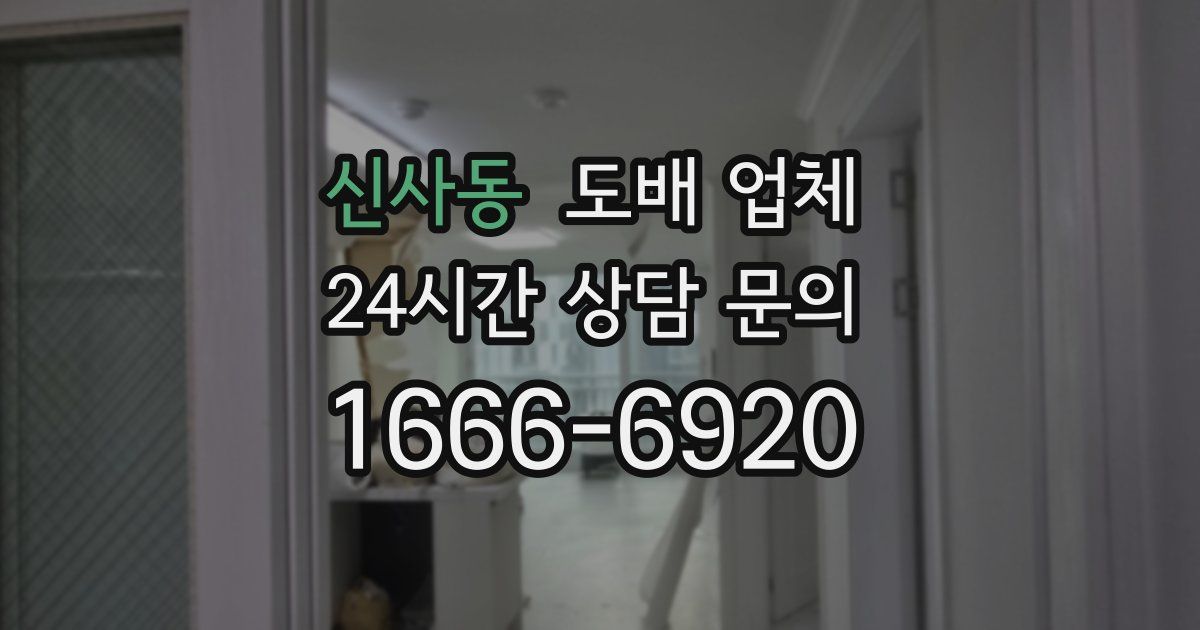 신사동 도배 업체
