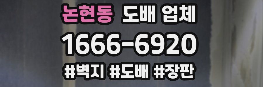 논현동 도배 업체