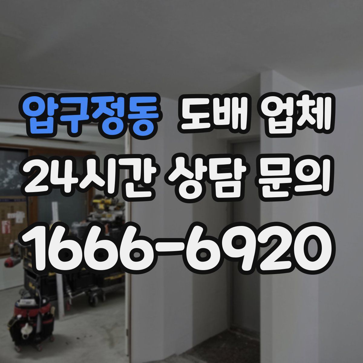 압구정동 도배 업체