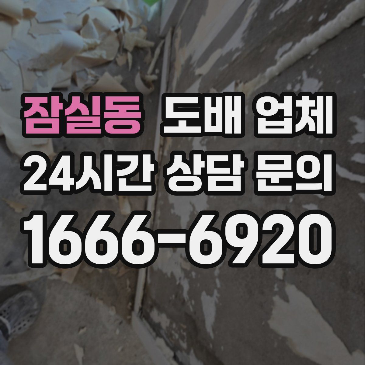 잠실동 도배 업체
