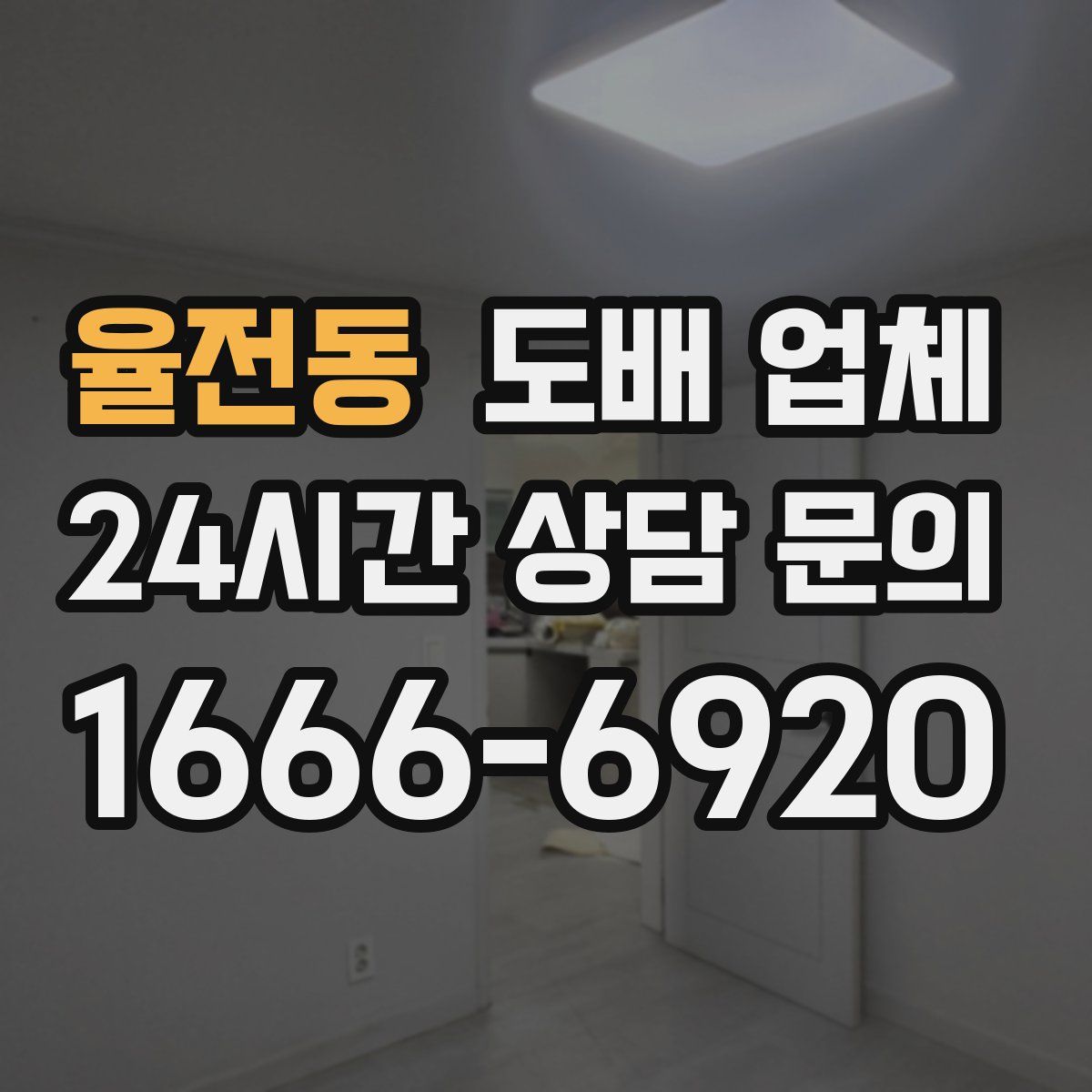 율전동 도배 업체