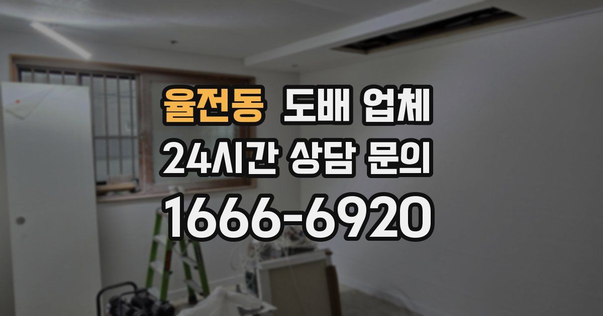 율전동 도배 업체
