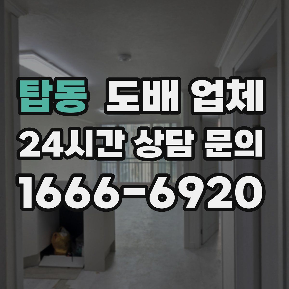 탑동 도배 업체