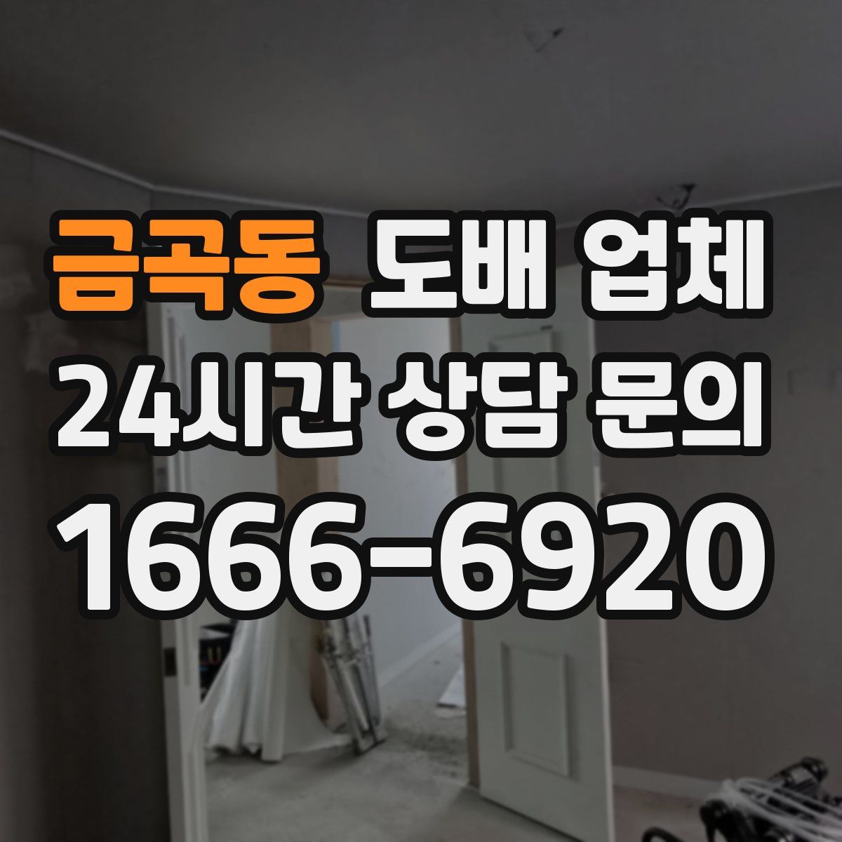 금곡동 도배 업체