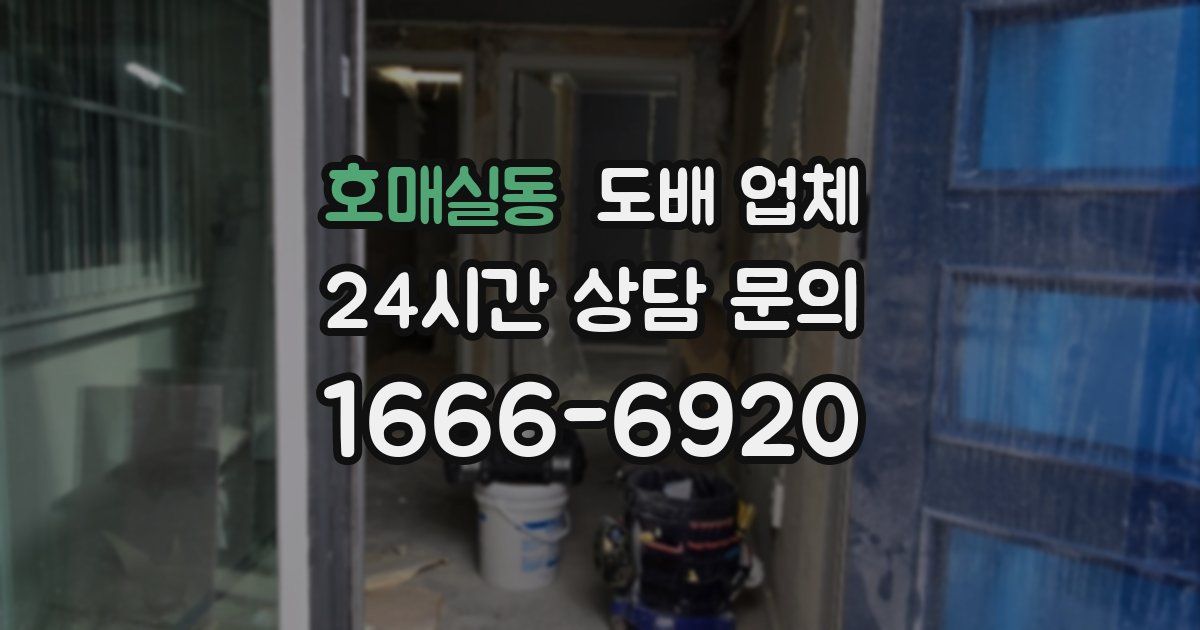 호매실동 도배 업체