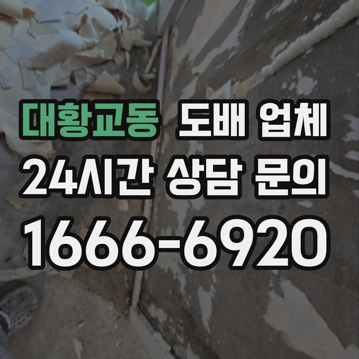대황교동 도배 업체