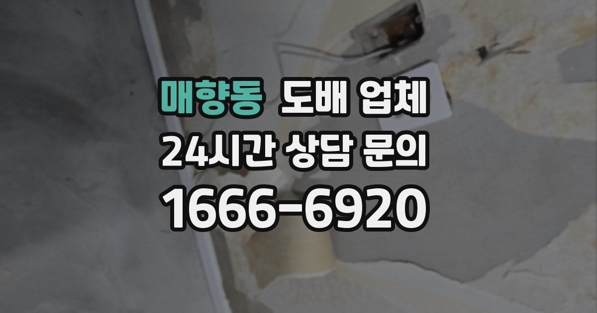 매향동 도배 업체