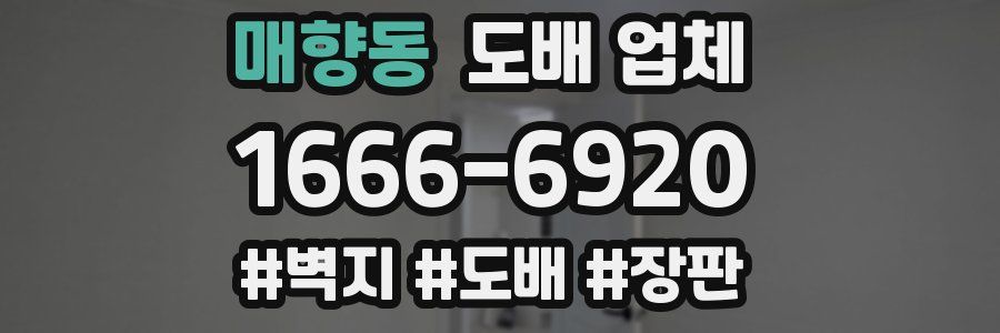 매향동 도배 업체