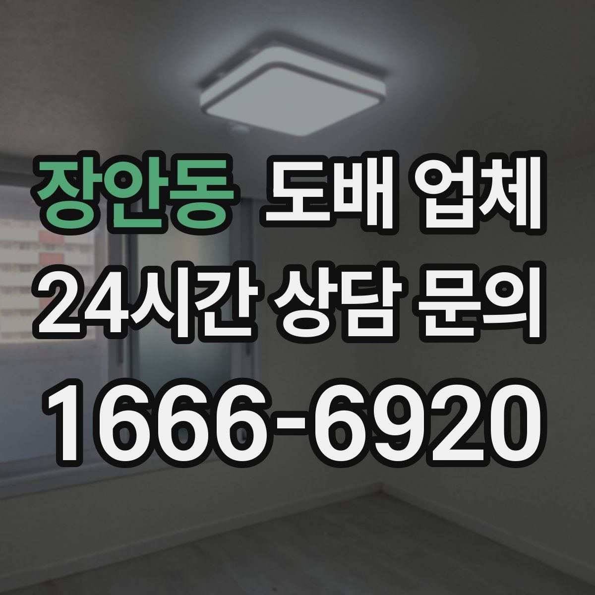 장안동 도배 업체