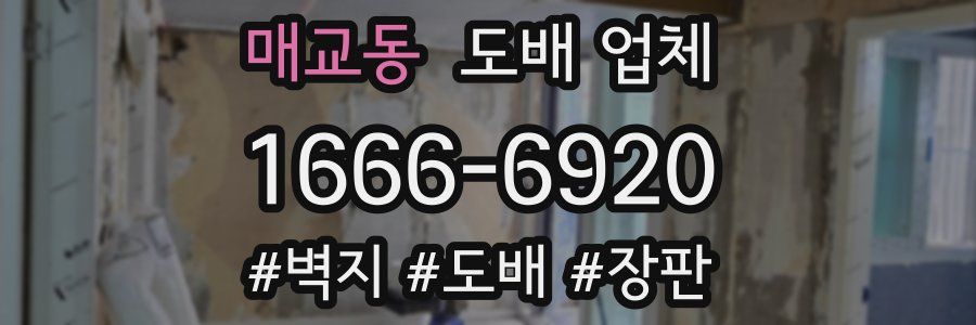 매교동 도배 업체