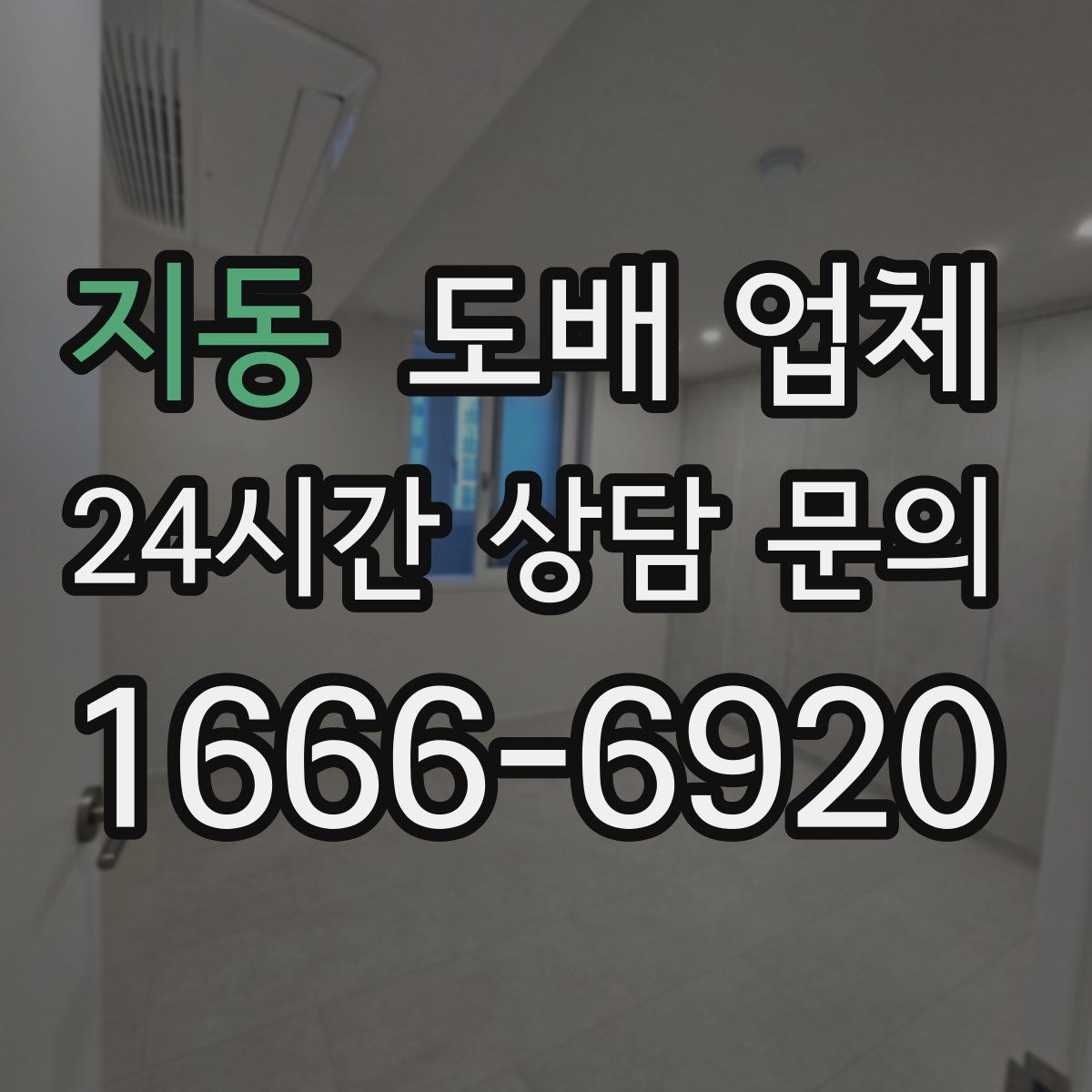 지동 도배 업체