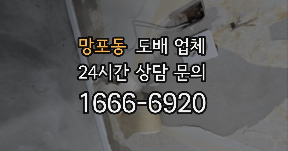 망포동 도배 업체