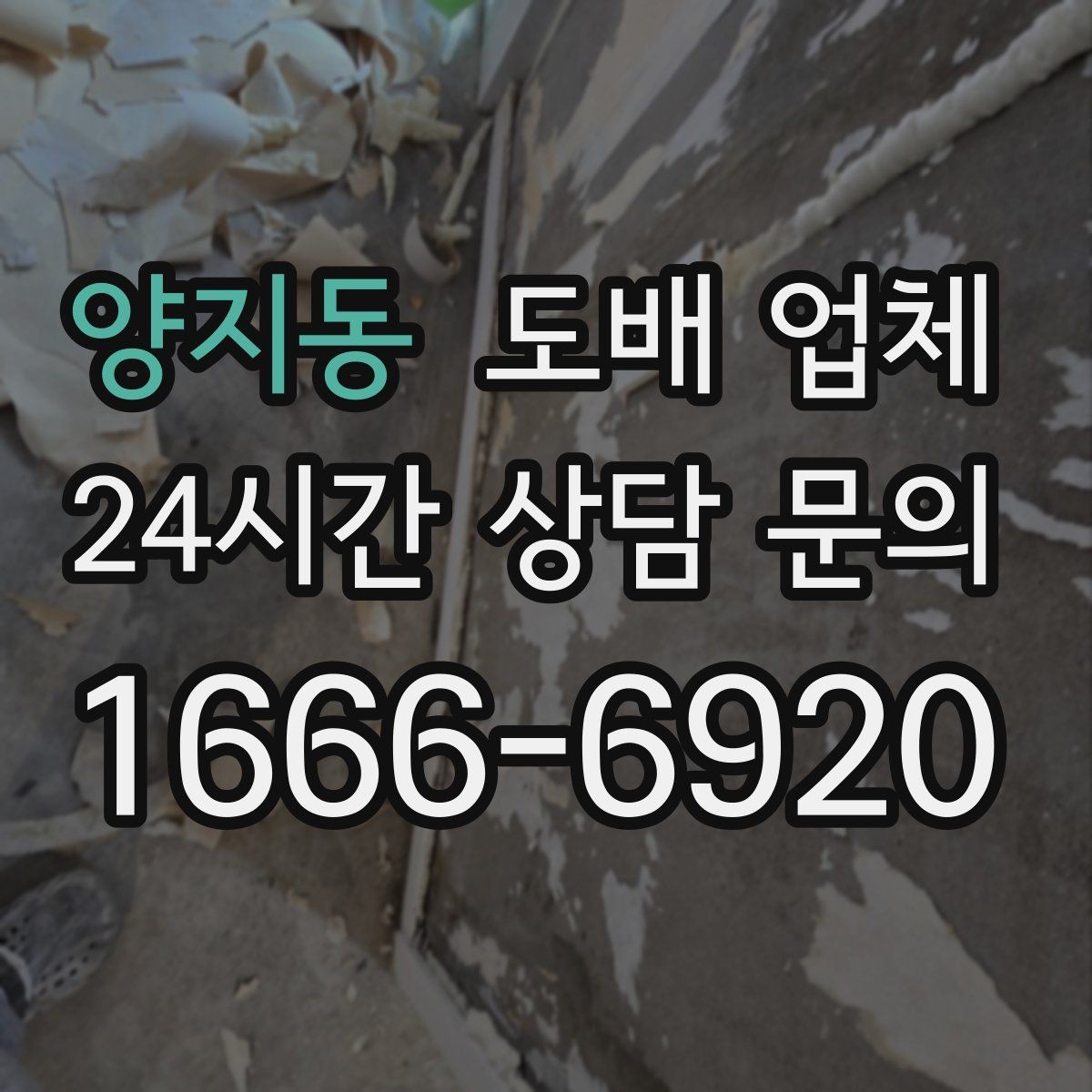 양지동 도배 업체 후기에서 꼭 살펴볼 내용