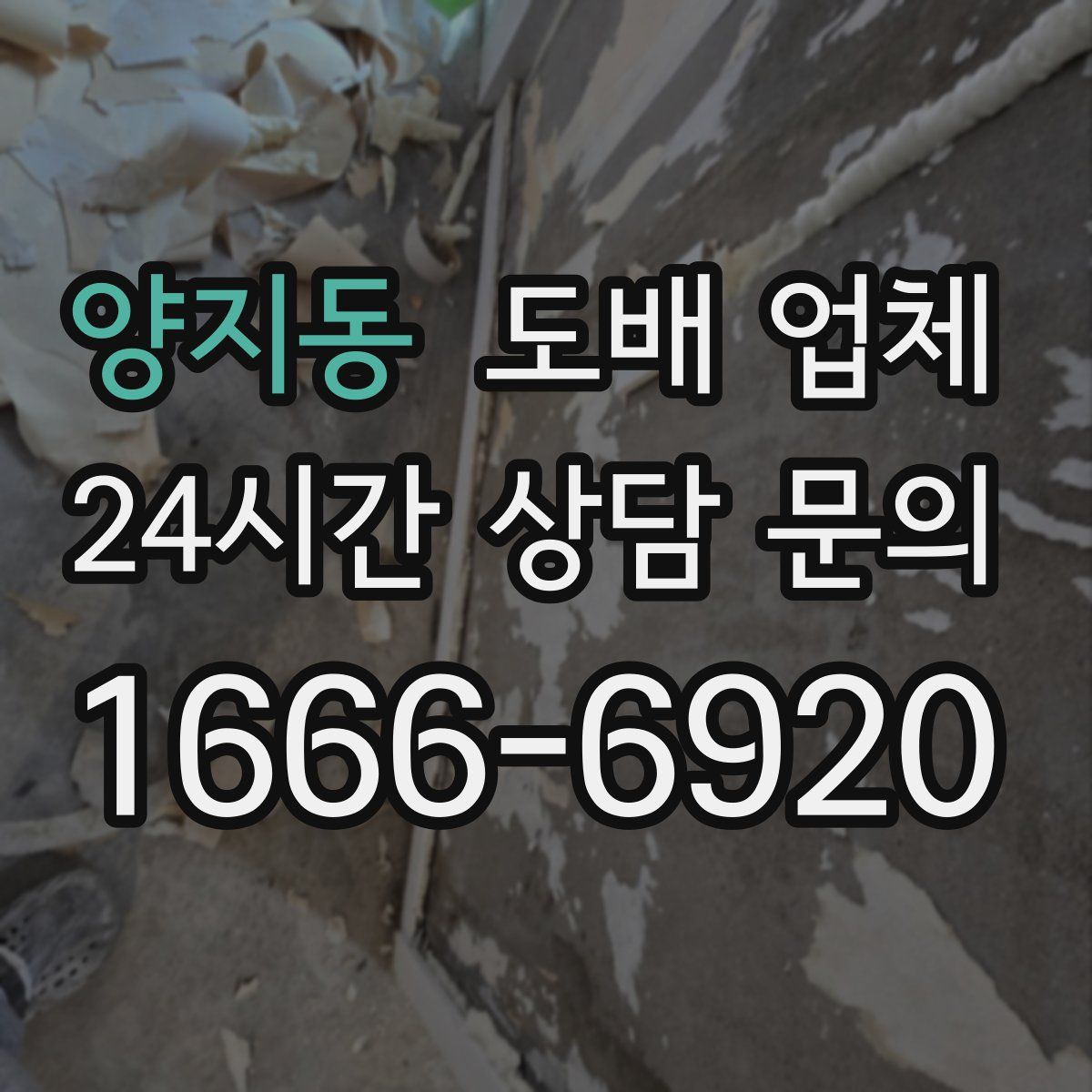 양지동 도배 업체