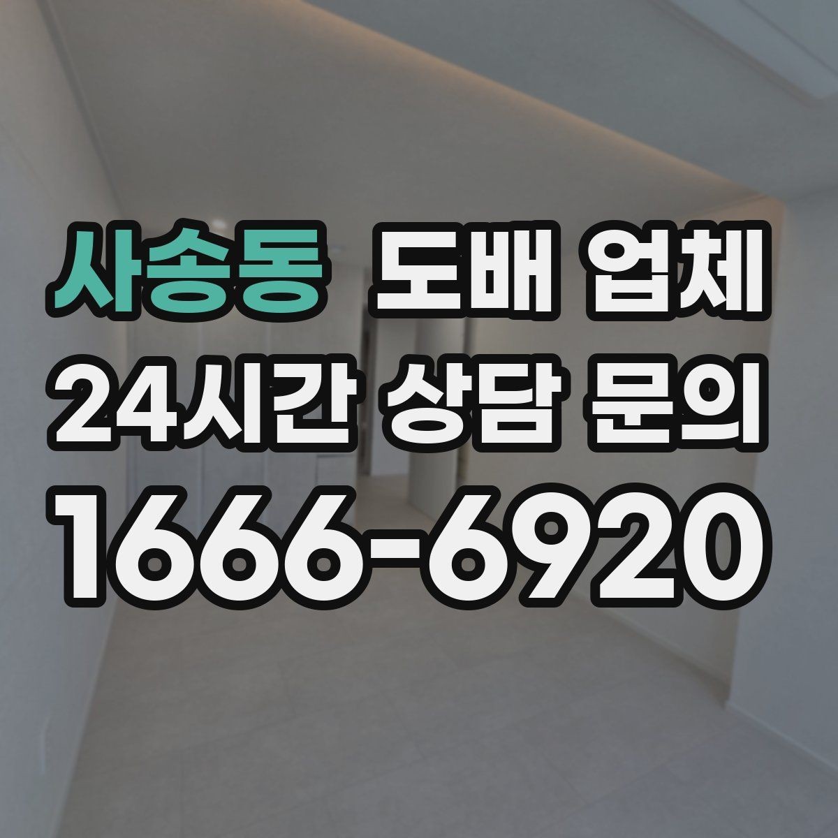 사송동 도배 업체 초보자도 이해하기 쉬운 선택 기준