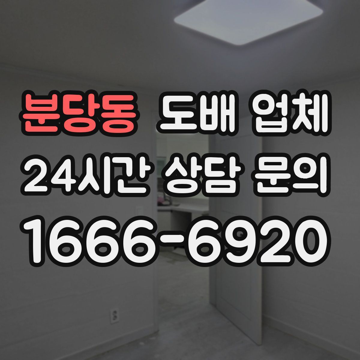 분당동 도배 업체