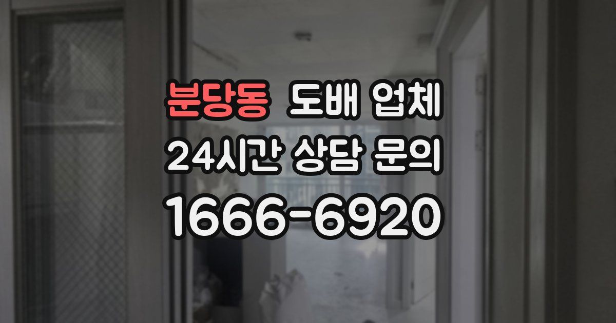 분당동 도배 업체