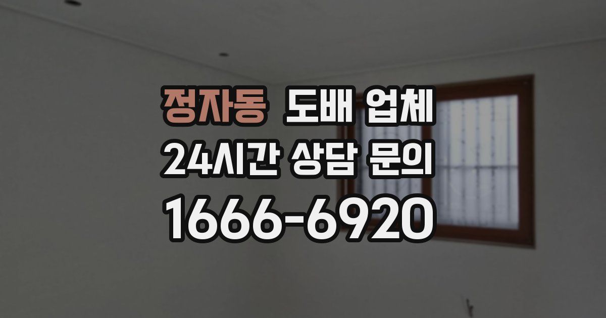 정자동 도배 업체