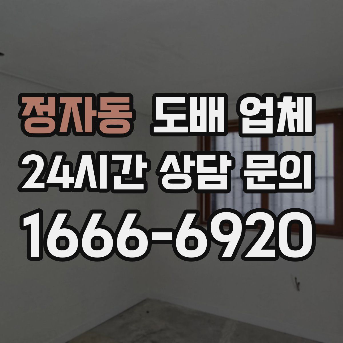 정자동 도배 업체