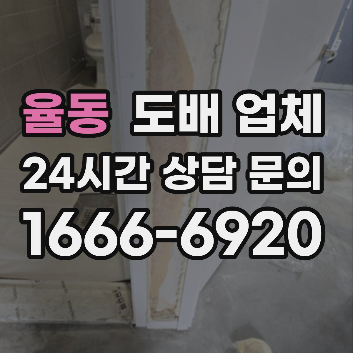 율동 도배 업체