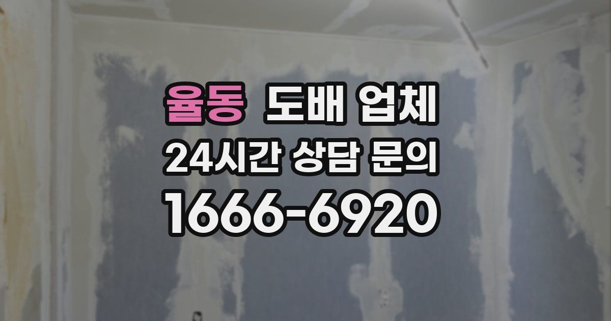 율동 도배 업체