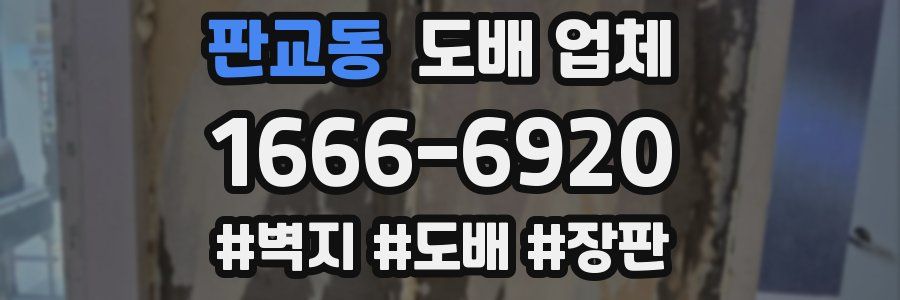 판교동 도배 업체
